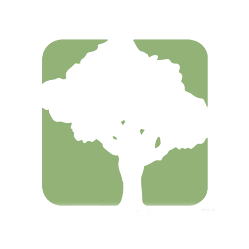 SpeedTree